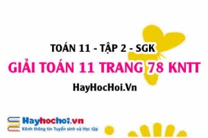 Giải Toán 11 trang 78 tập 2 Kết nối tri thức